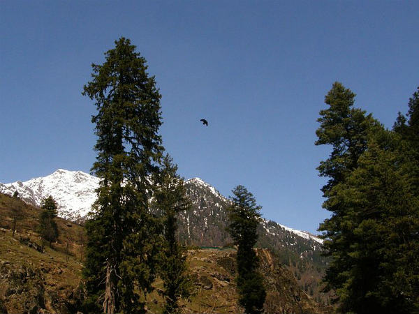Why Betaab Valley Is A Must-visit Place