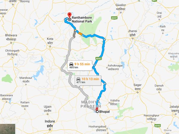 How To Reach Ranthambore From Bhopal