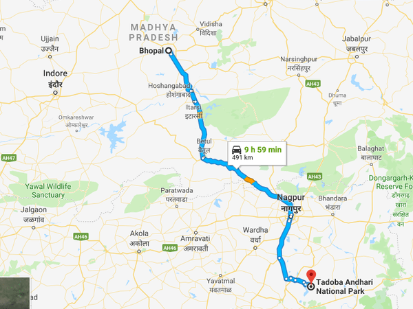 How To Reach Tadoba National Park From Bhopal