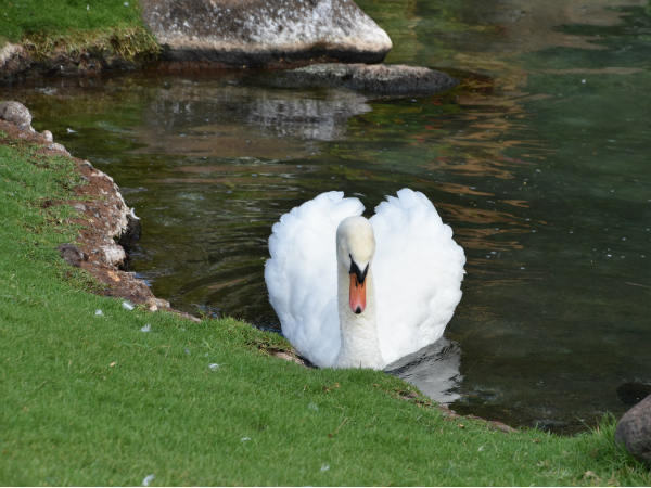 Best Time To Visit Ralamandal Wildlife Sanctuary