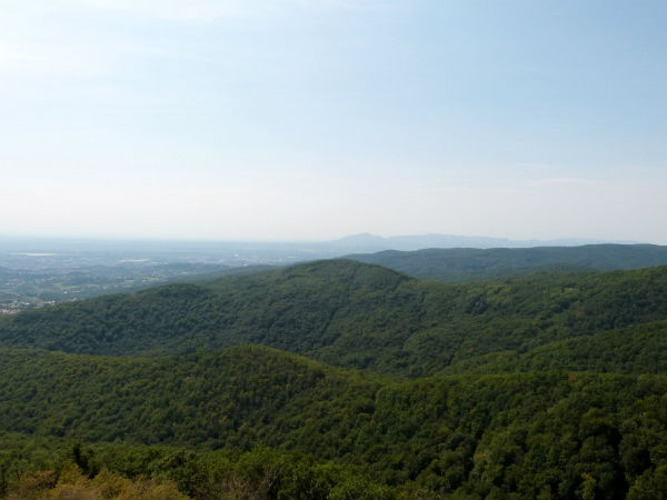Best Time To Visit Daringbadi