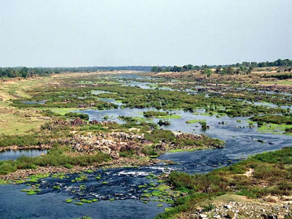 22. Duarsini