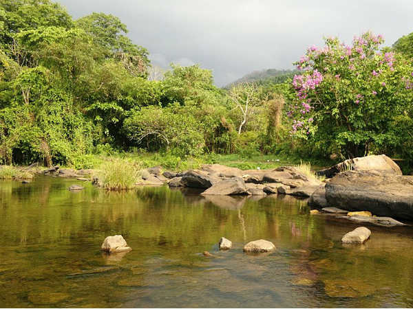 Best Time To Visit Chalakudy