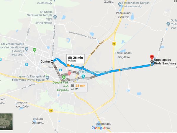 How To Reach Uppalapadu Bird Sanctuary