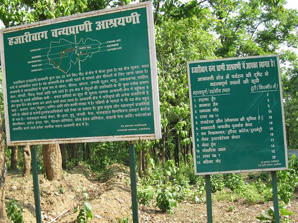 Hazaribagh National Park