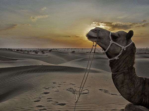 Jaipur To Jaisalmer