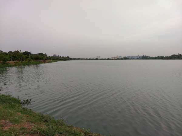 How To Reach Jakkur Lake