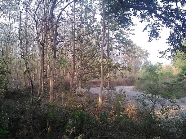 Kaladhungi