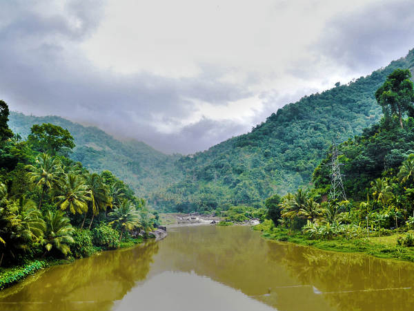 1. Kallar
