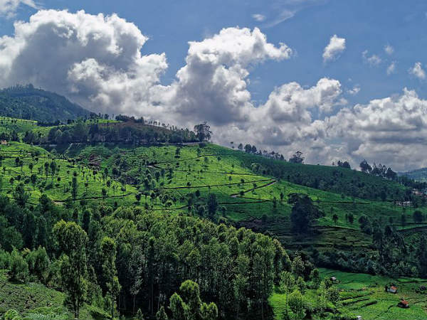 Kotagiri