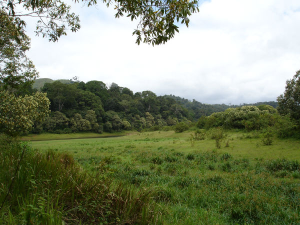 How To Reach Periyar Wildlife Sanctuary