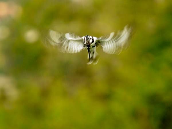 Practise Photography