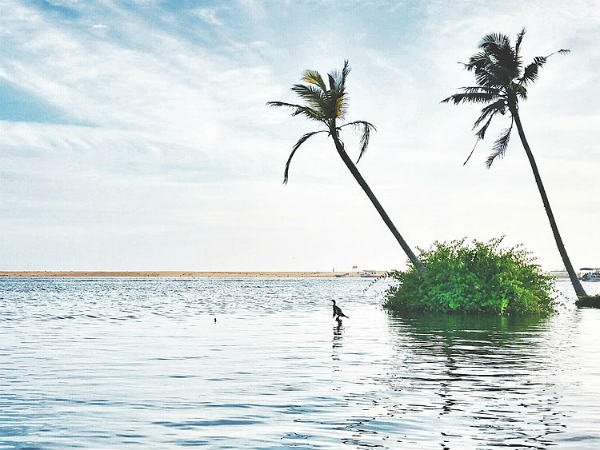 Poovar