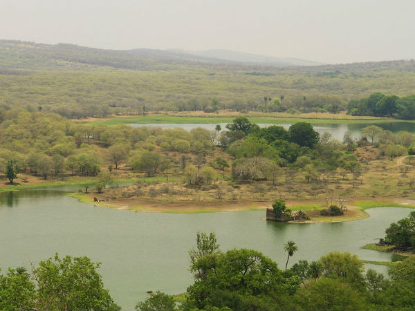Best Time To Visit Ranthambore