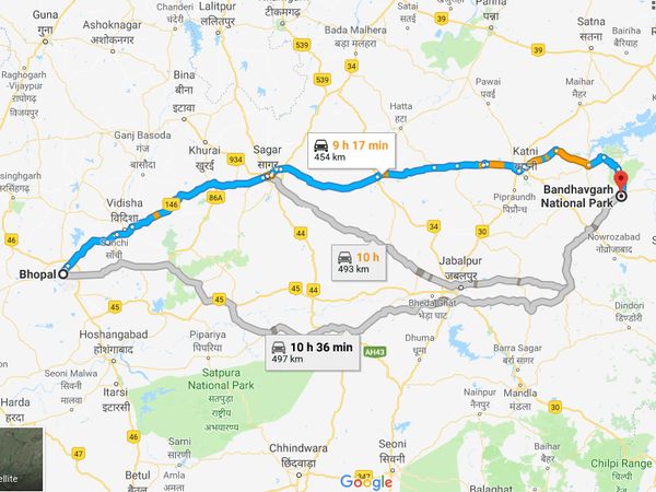 How To Reach Bandhavgarh National Park From Bhopal