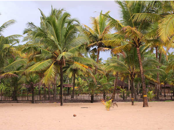 Best Time To Visit Mararikulam
