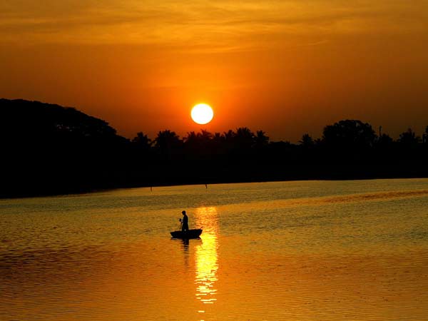 Watch The Sunrise And Sunset