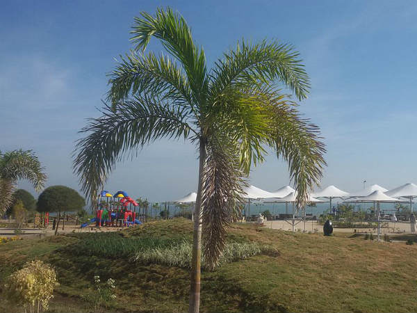 Hanuwantiya Island