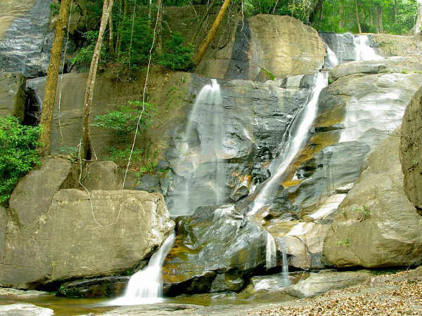 5. Vithura