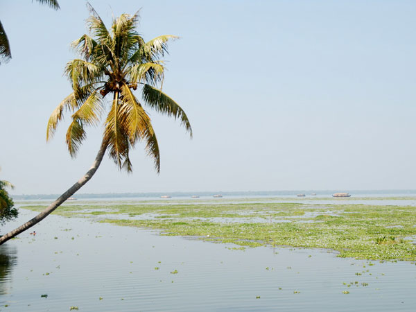 8. Vembanad Lake