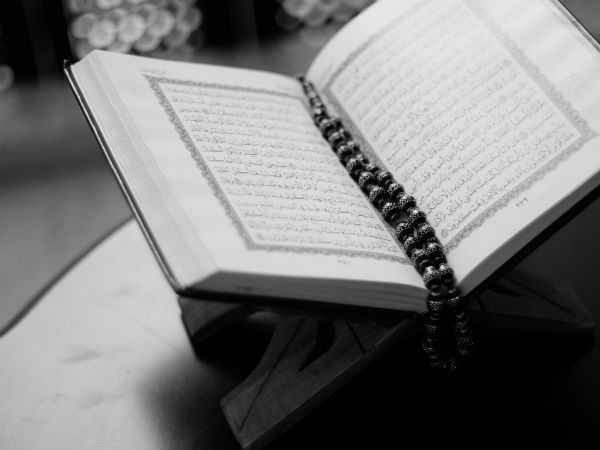 quran book quran book