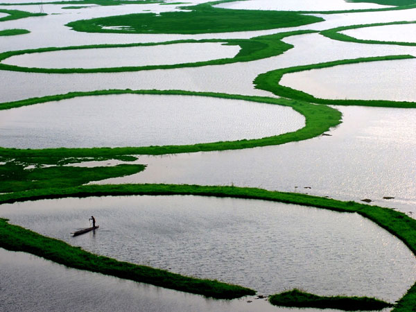Loktak lake Loktak lake