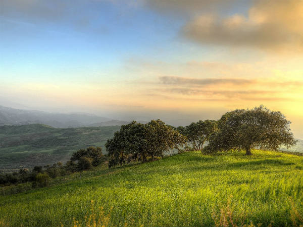 One Of Ten Paradises of The World