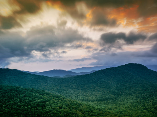 The Land Of Natural Herbs