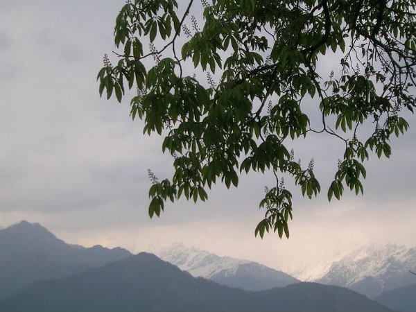 Best Time To Visit Pithoragarh