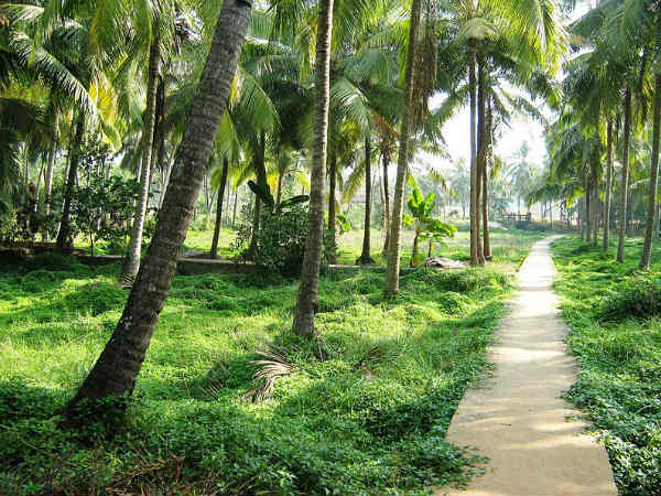 Why You Must Visit Azhikode And Azhikkal