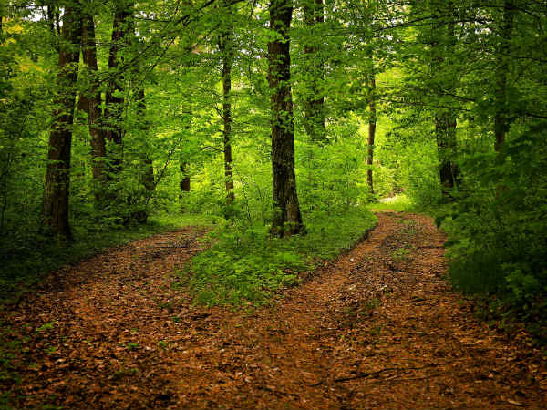 2) The Climatic Conditions Are Complimentary