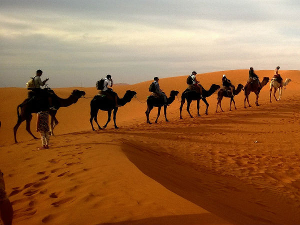5) Camel Safari