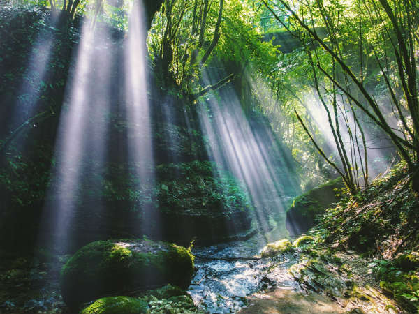Green Route