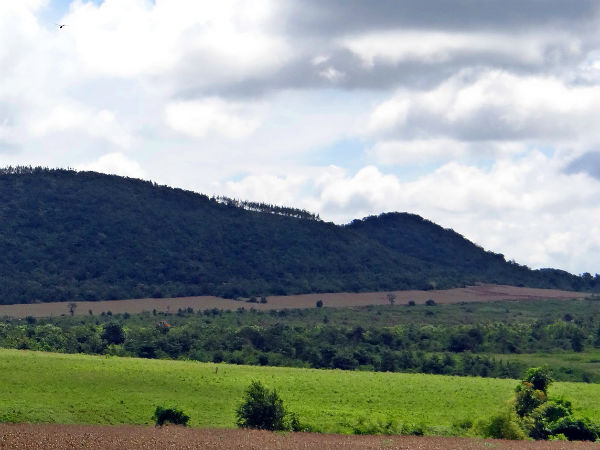 Jangaon