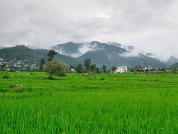 Things To Do While In Karsog
