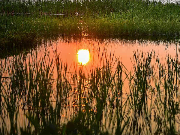 Best Time To Visit Shakoor Lake