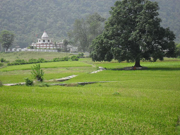 The Location And Surroundings Of Satpuli
