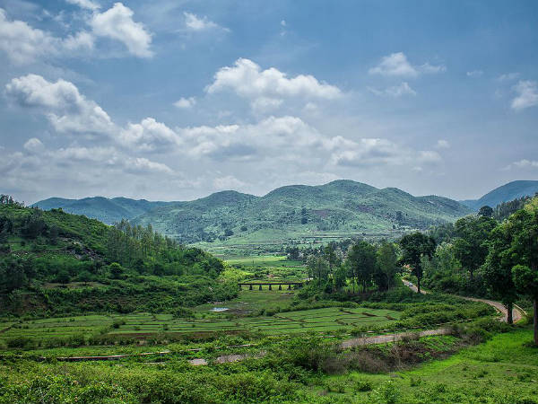 5) Paderu