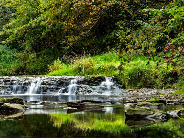 Why You Should Visit Kokernag
