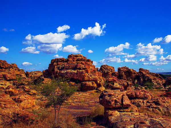 Orvakal Rock Garden