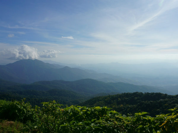 How To Reach Rajapalayam