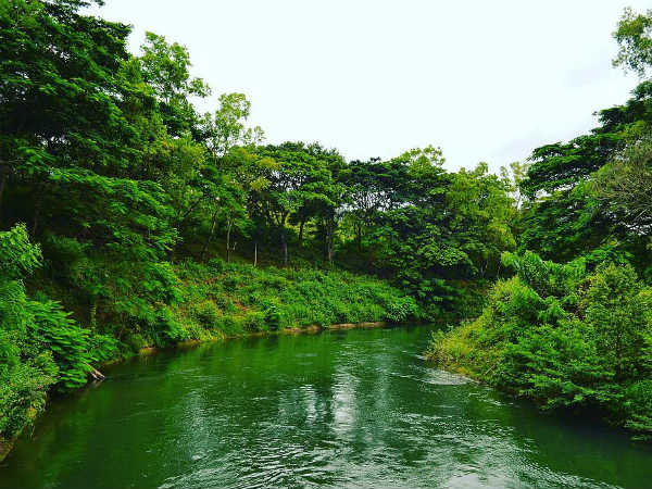 The History And Surroundings Of Somwarpet