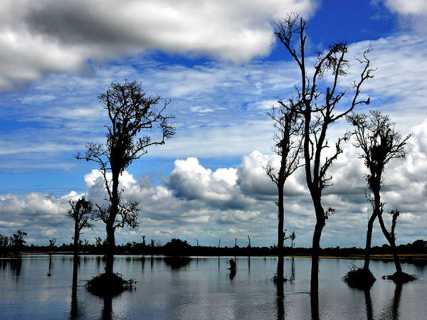 Dibru-Saikhowa National Park