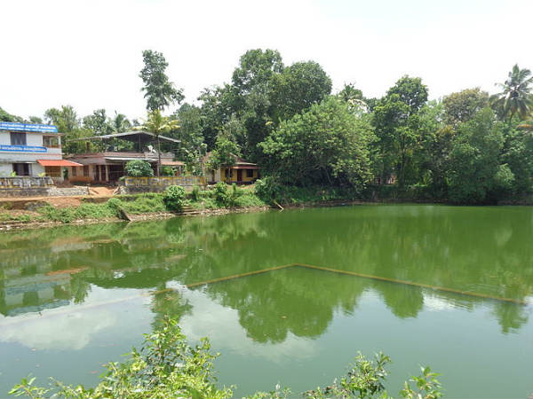 The Surroundings Of Sreevallabha Temple