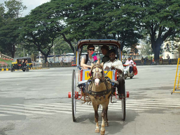 5) Relish A Tonga Ride