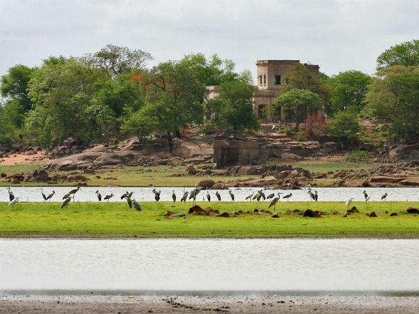 7. Nizamabad