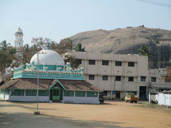 3) Begumpur Mosque