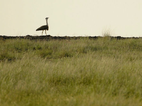Best Time To Visit The National Park
