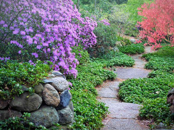 3) Soothing Climate