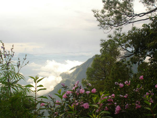 Best Time To Visit Gewaipani